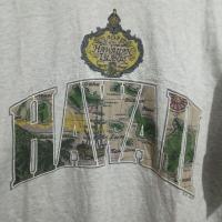 ราคา Hanes - เสื้อยืดฮาวาย (17895170364)