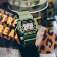 ราคา G-Shock x SBTG DW-5600 Limited (6736979163)