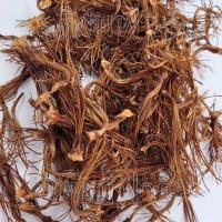 ราคา ดอกงิ้วตากแห้ง 20 กรัม ดอกงิ้วแท้ 100% ดอกงิ้วฉีกฝอย (24323362585)