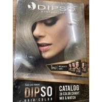 ราคา หนังสือแบบสีผมdipsoปกแข็งใช้ในร้านทำผม (9675598670)