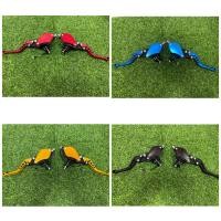 ราคา มือเบรคปั้มตู้ปลา+มือคลัชปั้มตู้ปลา ปั้มตู้ปลาคู่ (RCG) สีที่มี ทอง แดง น้ำเงิน ดำ ใส่ Gpx droneได้ (15894387310)