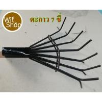 ราคา หัวตะกาว ตะกาวกวาด กาดใบไม้7ซี่ (25523683934)