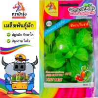 ราคา ม้ารุ้ง ผักซอง ม้ารุ้ง Z152#ยี่หร่า(ใบรา) เมล็ดพันธุ์ เมล็ดพันธุ์ผัก เมล็ดผัก ผักสวนครัว ตราม้ารุ้ง (26392664127)