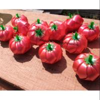 ราคา เหรียญโปรยทาน มะเขือเทศ (ตัวเปล่า) (6902380482)