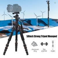 ราคา Audioworld ZOMEI Q666 59 นิ้วขนาดกะทัดรัดแบบพกพาอลูมิเนียมกล้องขาตั้งกล้อง Monopod พร้อมหัวบอล/แผ่นปลดเร็ว/กระเป๋าสําหรับกล้อง DSLR (40656669718)