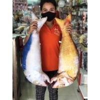 ราคา หมอนอิง หมอนตั้งโชว์รูปปลาทู (5641210830)
