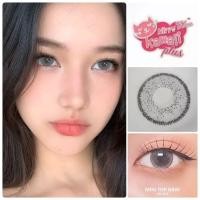 ราคา คอนแทคเลนส์ รุ่น Mini Top By Kitty kawaii มีสีเทา/ตาล Gray/Brown By Kitty Kawaii มีค่าสายตาปกติ (0.00) (14499168610)