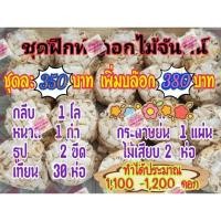 ราคา ชุดฝึกทำดอกไม้จันทน์ (24376017755)