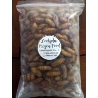 ราคา หนอนไหมแช่แข็ง ดักแด้ ครึ่งกิโลพร้อมส่งลังโฟม (4553779476)