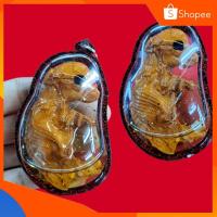 ราคา ลูกกรอกรกแมว เลียบน้ำมันจันทร์ (22905546662)