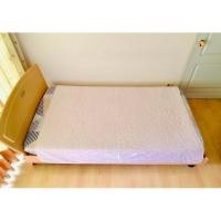 ราคา ผ้าปูรองนอน/รองกันเปื้อน/รองโซฟา ขนาด 4.5-5ฟุต สีชมพูลายดอกวินเทจ มือสองขายตามสภาพ สินค้าญี่ปุ่น-เกาหลีแท้ (25831221898)