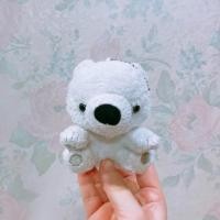 ราคา พวงกุญแจ ตุ๊กตา หมี หมีขาว polar bear ท่านั่ง อมูส amuse (25525992669)