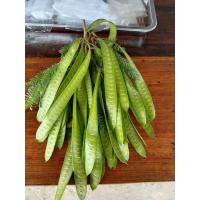 ราคา ฝักกระถินอ่อน กระถินกินยอด กระถินกินฝัก (13910874562)