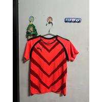 ราคา เสื้อกีฬา Puma มือสองของแท้ (29441347572)