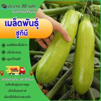 ราคา 30 เมล็ดเมล็ดพันธุ์ซูกินี ผักซูกินี ซูกินีเขียวเมล็ดผักสวนครัวเมล็ดผักพันธุ์แท้ซูกินีงอกง่ายโตไว (27065899138)