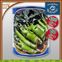 ราคา เมล็ดพันธุ์ คะน้าหวาน คะน้าฮ่องกง เห็ดหอม OP (60, 400 กรัม) เมล็ดคะน้าฮ่องกงเห็ดหอม เมล็ดพันธุ์ผักสวนครัว ตราลูกโลก (8718767239)