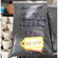 ราคา ดินแคคตัส พร้อมปลูก​ ​1 กิโลกรัม​ (2708631916)