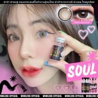ราคา บิ๊กอายส์soul gray by winks รุ่นสีเทาตาโต ลายฮิตใส่สวย (16436745007)