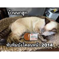 ราคา ทับทิมบังโคลนหน้า Suzuki Burgman 200 ปี2014 (28580359362)