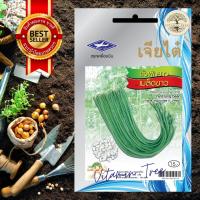 ราคา เมล็ดพันธุ์ ถั่วฝักยาว เมล็ดขาว (3165269765)