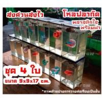 ราคา โหลเลี้ยงปลากัด ชุด4ใบ โหลปลาพลาสติกใสพร้อมฝา เรียงต่อซ้อนเป็นชั้นได้ ขนาด9x9x17cm (2312640184)