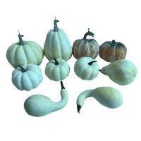 ราคา ตกแต่งห้อง ไฟตกแต่ง ฟักทองจำลองสีขาว พร้อมชุดผลไม้พลาสติก สำหรับตกแต่งงานฮาโลวีนและสถานที่ต่างๆ (42672587205)