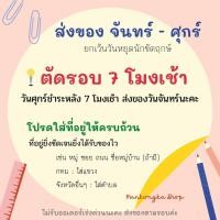 ราคา □(ตัวละ 10 บาท) แมลงสาบ แมลงสาบปลอม ของเล่นปลอม สัตว์ปลอม ของเล่นแกล้งคน (9168716405)