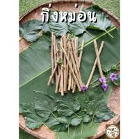 ราคา กิ่งหม่อน สั่ง 20 กิ่ง แถม 2 กิ่ง กิ่งหม่อนสด กิ่งมัลเบอรี่ ตัดสดใหม่ทุกออเดอร์เลยจ้า (29157276393)