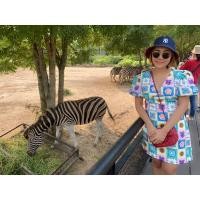 ราคา งานป้ายwidelia@real used (13894595028)