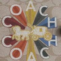 ราคา กป.โทสม่วง ,(พี่เอ๋) Coach Limited ToTe (6914525334)