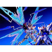 ราคา 【Direct from Japan】METAL BUILD ชุดออปชั่น Strike Freedom Gundam Wings of Light【Japan Exclusive】 (41223300928)