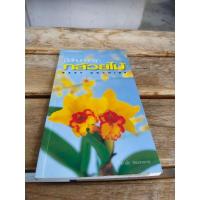 ราคา มือใหม่หัดปลูกกล้วยไม้ (24514775648)