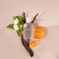 ราคา Reunrom เพอร์ฟูม 100ml รัชดา รื่นรมย์ (20393787079)