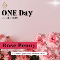 ราคา น้ำหอม ONE Day กลิ่น Rose Peony ขนาด 50 ML Eau de Parfum (41857622311)