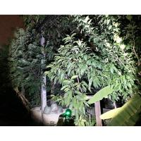 ราคา ไฟฉายแรงสูง UltraFire T6F หลอดแท้ สว่างมาก ไฟฉาย พกพา wPgh (8439770560)