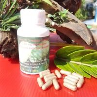 ราคา สมุนไพรลูกยอสกัดเย็น ลูกยอช่วยลดค อเรสเตอรอล ลูกยอช่วยชลอวัย ฟื้นฟูระบบประสาทและสมอง ชนิดแคปซูล 330 มก.60 แคปซูล/กระปุก (5474806439)