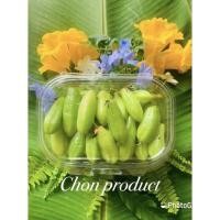 ราคา ตะลิงปลิง ลูกตะลิงปลิงสด บรรจุ 500 g เปรี้ยวหอม สดจากต้น 31/7/66 (10981874689)