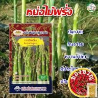 ราคา เมล็ดหน่อไม้ฝรั่ง Asparagus ปริมาณ20เมล็ด หน่อไม้ฝรั่ง เมล็ดพันธุ์ผัก เมล็ดพันธุ์หน่อไม้ฝรั่ง เมล็ดพันธุ์ผักสวนครัว ตราภ (18671003282)