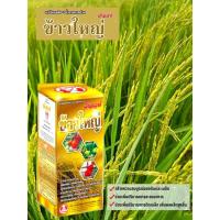 ราคา ข้าวใหญ่ 1L. อะมิโนแอซิด+น้ำตาลทางด่วน ช่วยการออกรวงข้าว เพิ่มแป้ง เพิ่มน้ำหนัก ยาเย็น (25076035044)