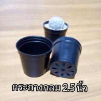 ราคา 2.5นิ้ว กระถางพลาสติก สีดำ กลม กระถางกระบองเพชร แคตตัส ต้นไม้จื๋ว (9617069593)