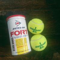 ราคา ลูกบอลเทนนิส Dunlop ลูกเทนนิส ดันลอป (18779285997)