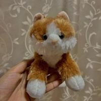ราคา ตุ๊กตาแมว แมวส้ม Cat Plush Stuffed Animal Toy cat ตุ๊กตาแมว ตุ๊กตาสัตว์ ทาสแมว แมว Cat (26267068819)