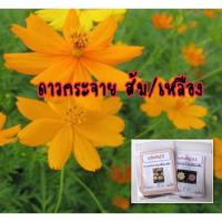 ราคา เมล็ดดอกดาวกระจาย สีเหลืองส้มคละ ดาวกระจาย (10แถม1คละอย่างได้) (4732264090)