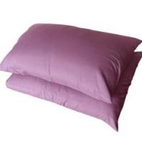 ราคา หมอนหนุนใบใหญ่ ไซส์มาตรฐาน pillow ใส่ปลอกหมอนToTo/ซาตินได้ มีลายเยอะ ทักแชทขอลายเพิ่มเติมได้ (1520027445)