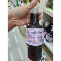 ราคา แชมพูดอกอัญชันว่านไทยแท้ (24216771468)