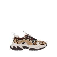 ราคา Steve Madden รุ่น Animates-L รองเท้าผ้าใบผู้หญิง สี Multicolor (43165476328)