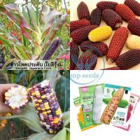 ราคา เมล็ดพันธุ์ข้าวโพด 14 - 200 เมล็ด ข้าวโพดนมสด ข้าวโพดสีรุ้ง ข้าวโพดจิ๋ว (22562500249)