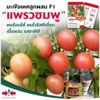 ราคา มะเขือเทศสีดา ขายส่ง450฿ เพชรชมพูขนาด20 กรัม ตราศรแดง เมล็ดพันธ์ตราศรแดง มะเขือเทศแพรวชมพู มะเขือเทศกระป๋อง (4667509094)