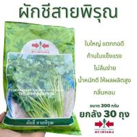 ราคา เมล็ด​ผักชีสายพิรุณตราศรแดง300กรัม (21925933869)