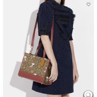 ราคา coach เดมซี่ บุคโทส น้ำตาลอ่อนซี สนูปปี้ 11.5” (10198748667)